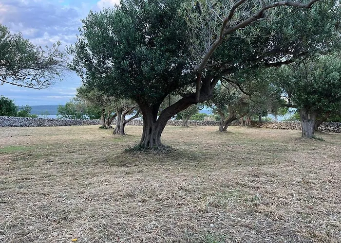 Podgora Experience With Jacuzzi Apartmán