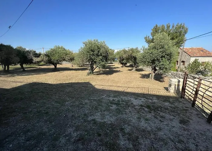 Podgora Experience With Jacuzzi Appartement *