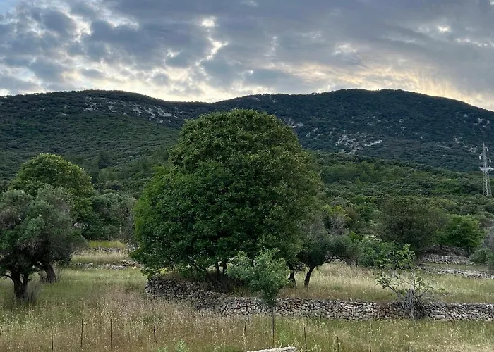 Podgora Experience With Jacuzzi Lägenhet *