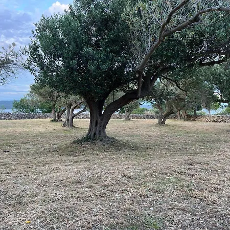 Podgora Experience With Jacuzzi Apartamento